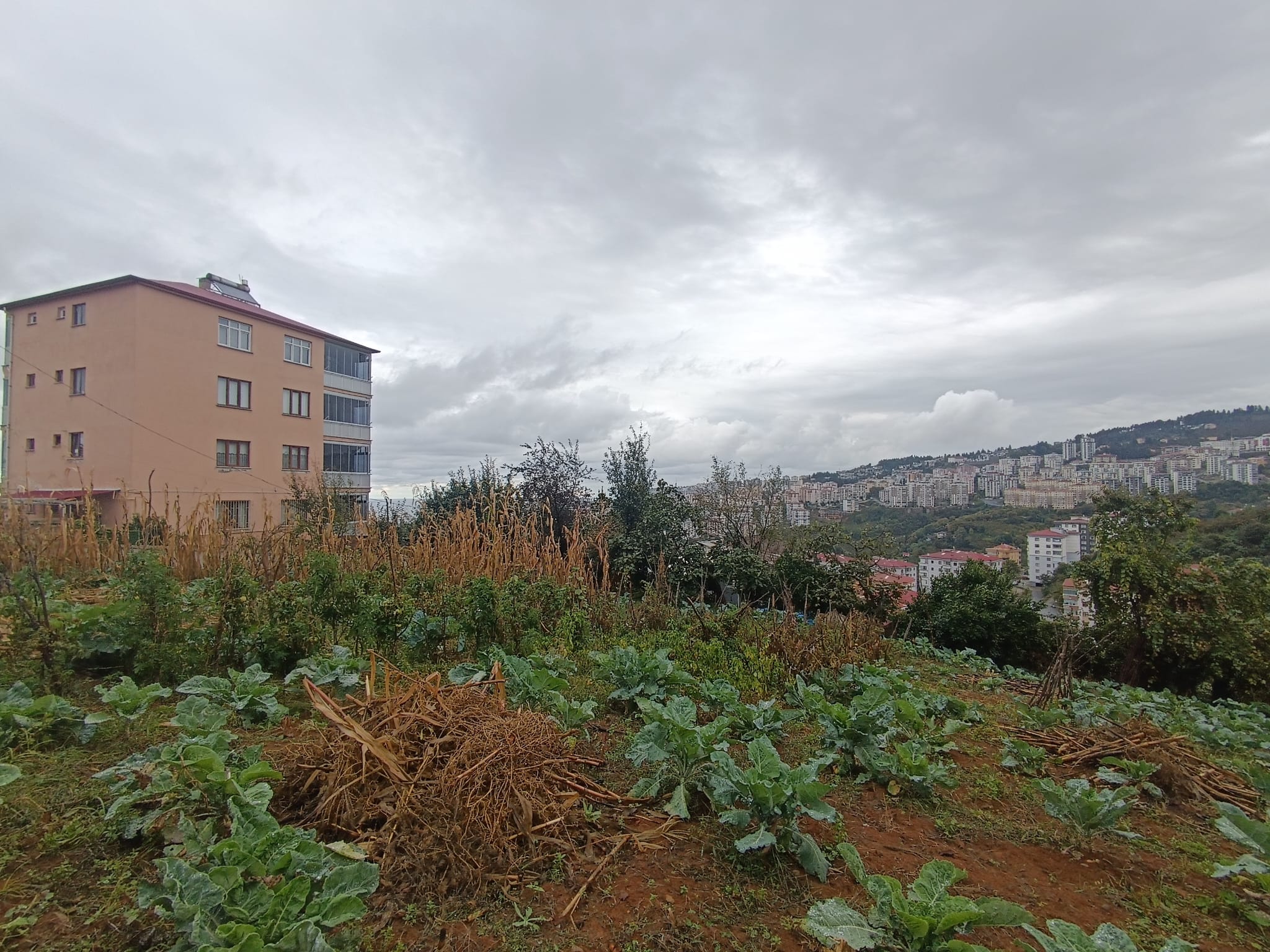 KARŞIKAHA MAH SATILIK ARSA